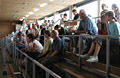 Blick auf die Fans